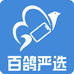 百鸽数码