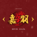 嘉羽官方旗舰店