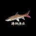 海纳渔业