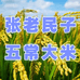 张老民子五常大米