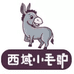 西域小毛驴 新疆特产店