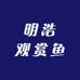 明浩观赏鱼