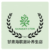 甘肃海歌滋补养生店