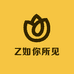 Z如你所见