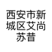 西安市新城区艾尚苏昔服饰店的小店个体店