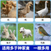 银军金属网笼厂