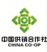 金南篮调味品供销社