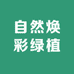 自然焕彩绿植