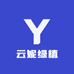 云妮绿植