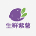 念宝宝生鲜紫薯