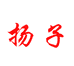 扬子YANGZI星融运动器械专卖店