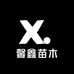 馨鑫苗木