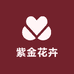 紫金花卉