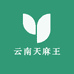 云南天麻王
