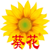 葵花颗棵艾个人护理专卖店