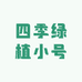 四季绿植小号