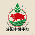 泌阳丰悦牛肉