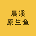 晨溪原生鱼
