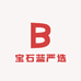 正艺严选