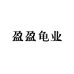 盈盈龟业