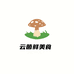 云菌鲜野生菌