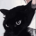 猫腻时尚生活馆