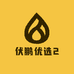 伏鹏优选2