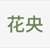 何小九穿戴甲