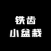 铁齿小盆栽
