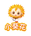 小葵花官方旗舰店