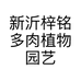 新沂梓铭多肉植物园艺有限公司的小店