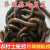 豫中原青蚯蚓