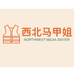 西北马甲姐个体店