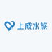 上成水族观赏鱼