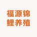 福源锦鲤养殖