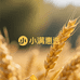 小满惠选