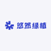 悠然绿植