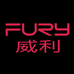 FURY威利中式球杆