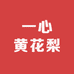 一心黄花梨