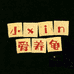 小xin爱养龟