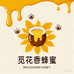 觅花香蜂蜜