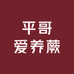 平哥爱养蕨
