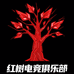 红树电竞拆卡店