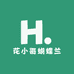 花小哥蝴蝶兰