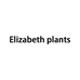 Elizabeth plants程稳个人护理专卖店
