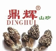 鼎辉鸿鑫专卖店