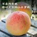 无锡阳山水蜜桃桃满天下