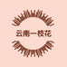 云南一枝花小店