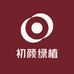 初颜绿植