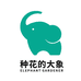 种花的大象精品绿植